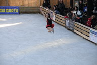 Natale 2009